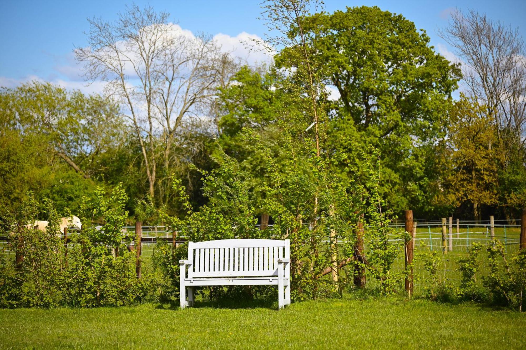Bluebell Cabin Badsey Exterior photo